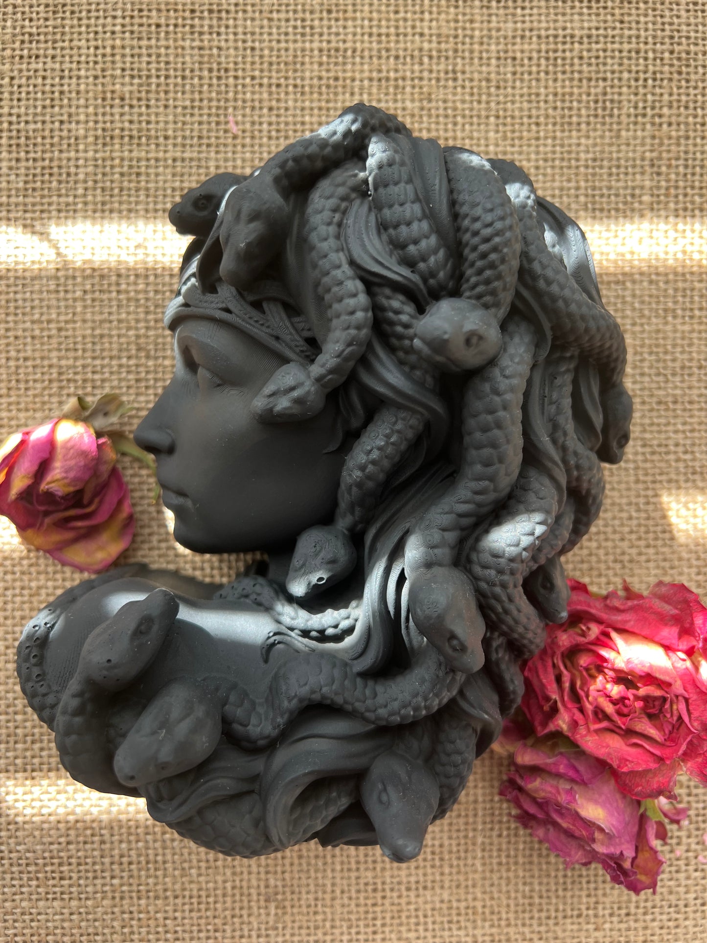 Modern Medusa Statue