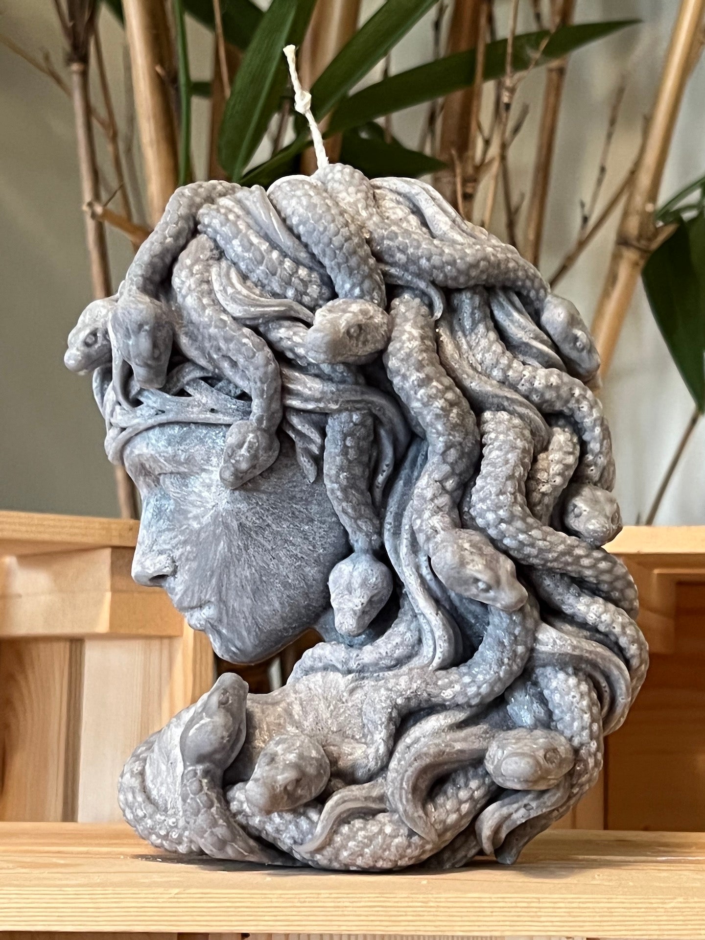 Modern Medusa